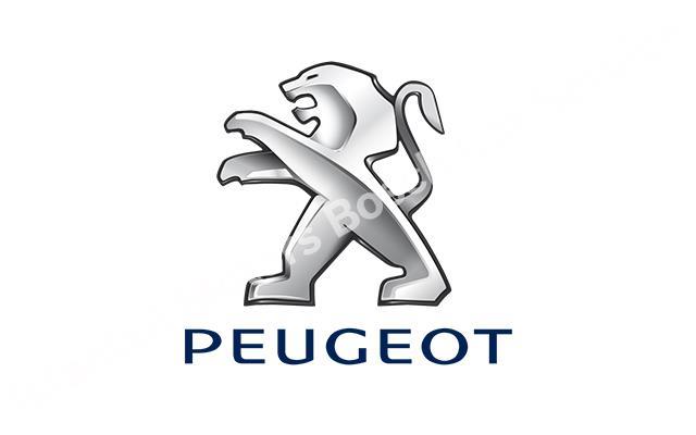 Peugeot Servisi